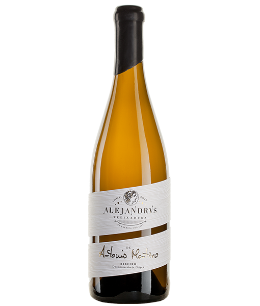 Alejandrvs 2015 no back